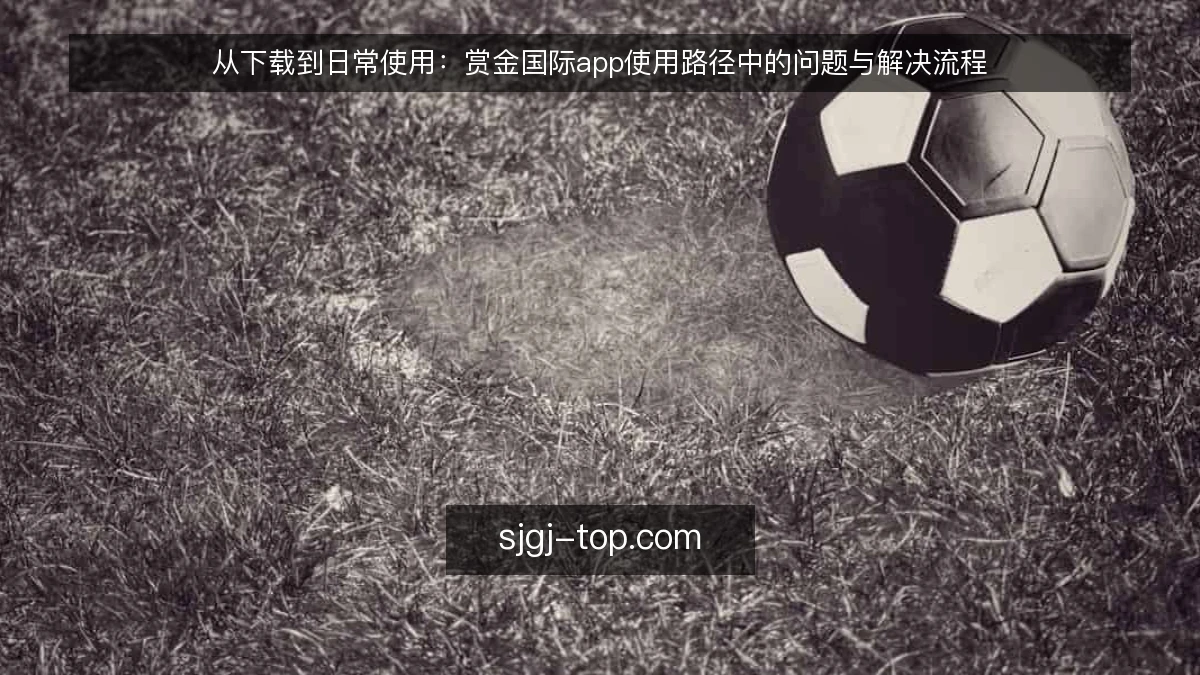 从下载到日常使用：赏金国际app使用路径中的问题与解决流程
