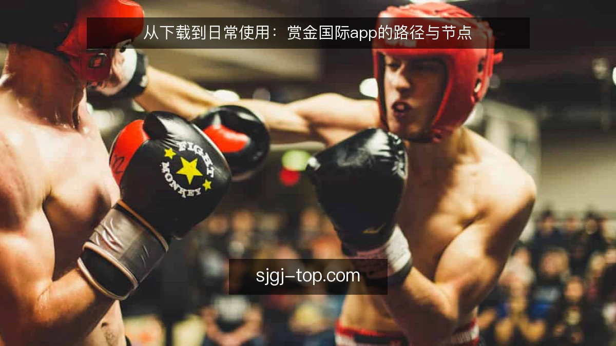 从下载到日常使用:赏金国际app的路径与节点