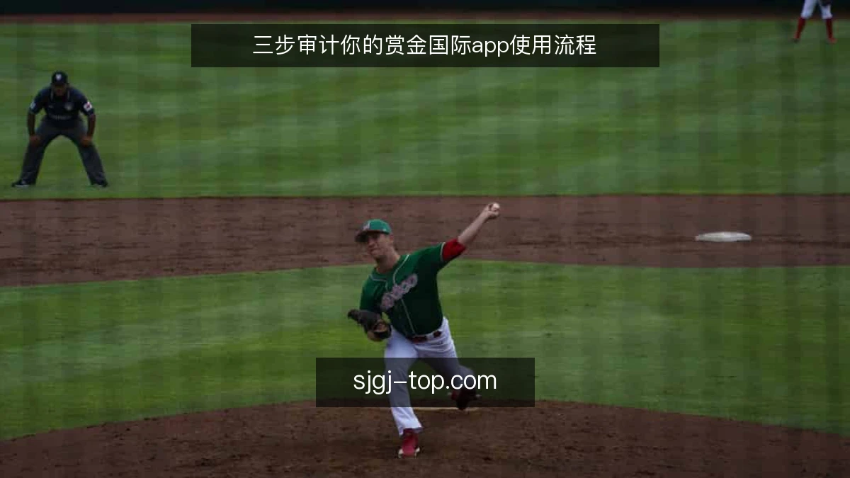 三步审计你的赏金国际app使用流程