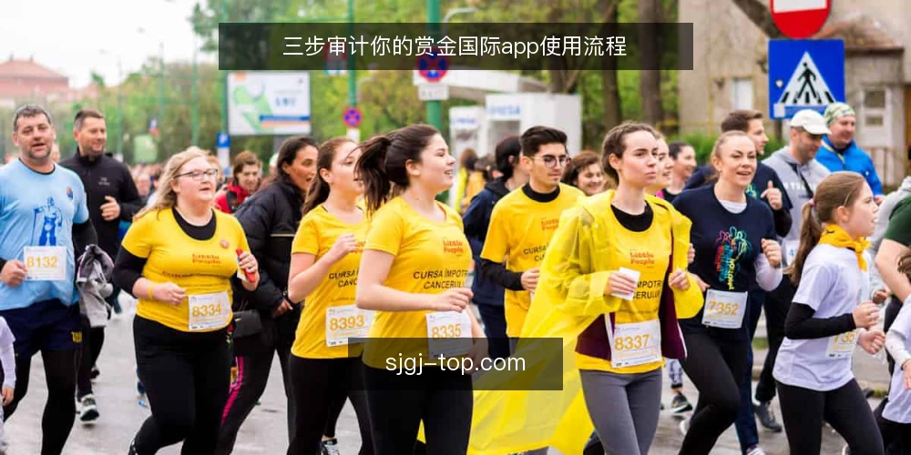 三步审计你的赏金国际app使用流程 — 为什么现在要审计赏金国际app的使用流程 配图