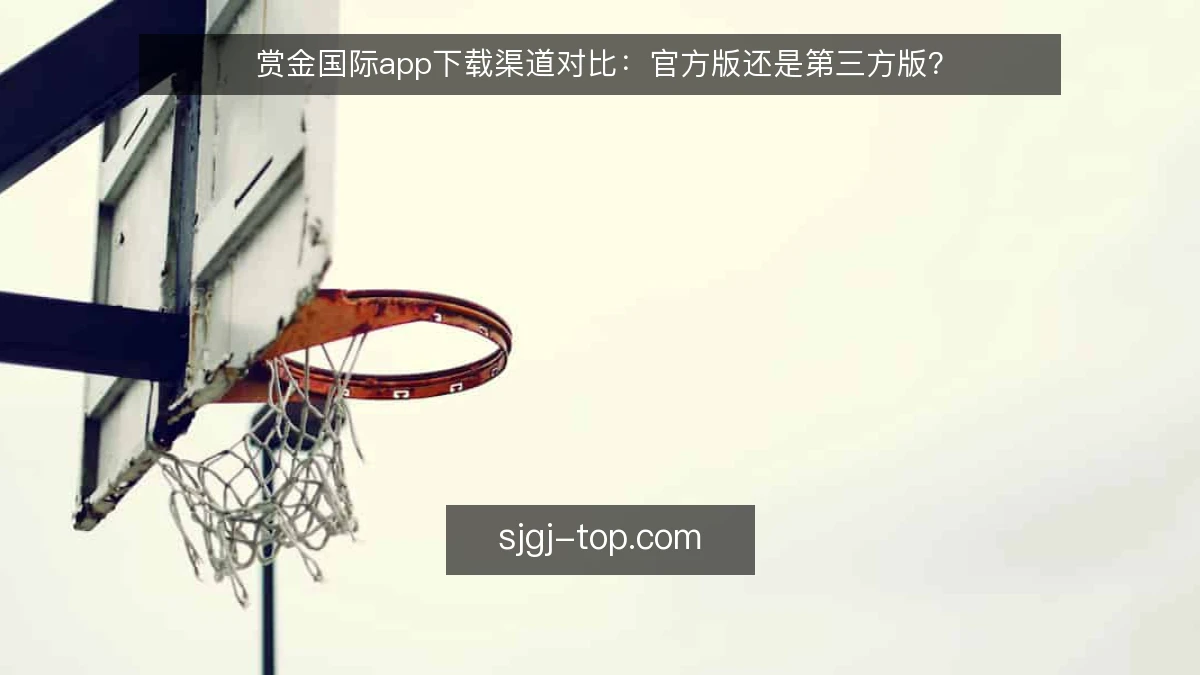 赏金国际app下载渠道对比：官方版还是第三方版？