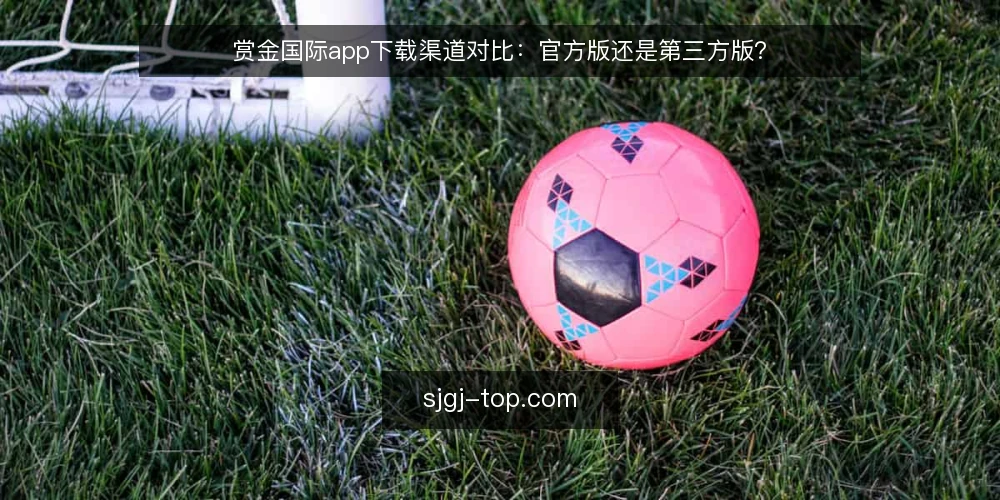 赏金国际app下载渠道对比：官方版还是第三方版？ — 为何现在要审计下载渠道 配图
