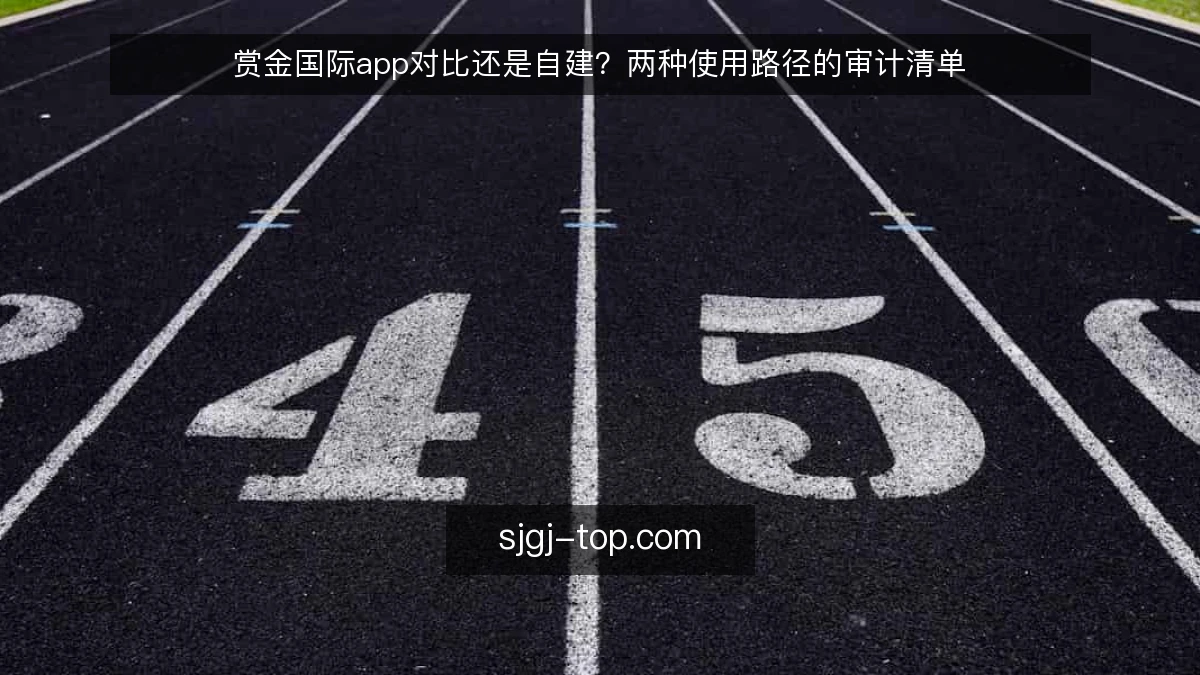 赏金国际app对比还是自建?两种使用路径的审计清单