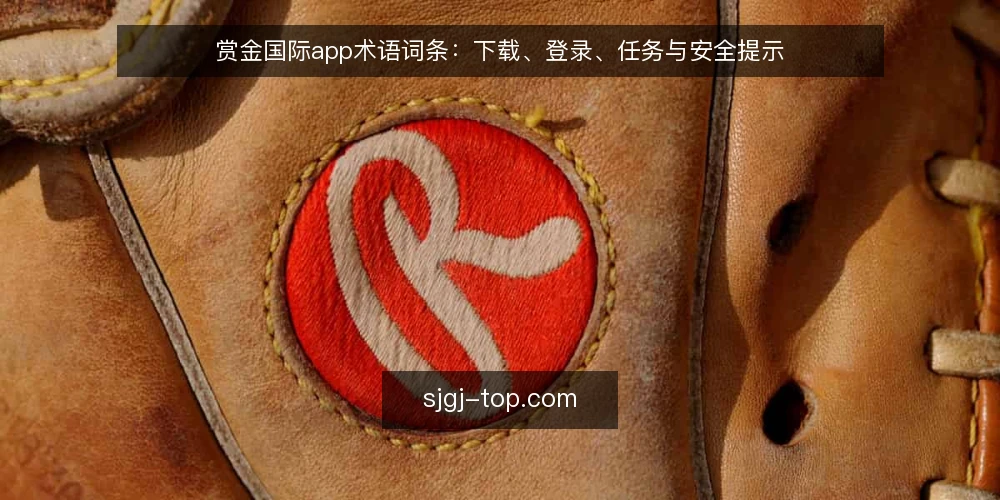 赏金国际app术语词条：下载、登录、任务与安全提示 — 信号观察：哪些术语值得现场核对 配图