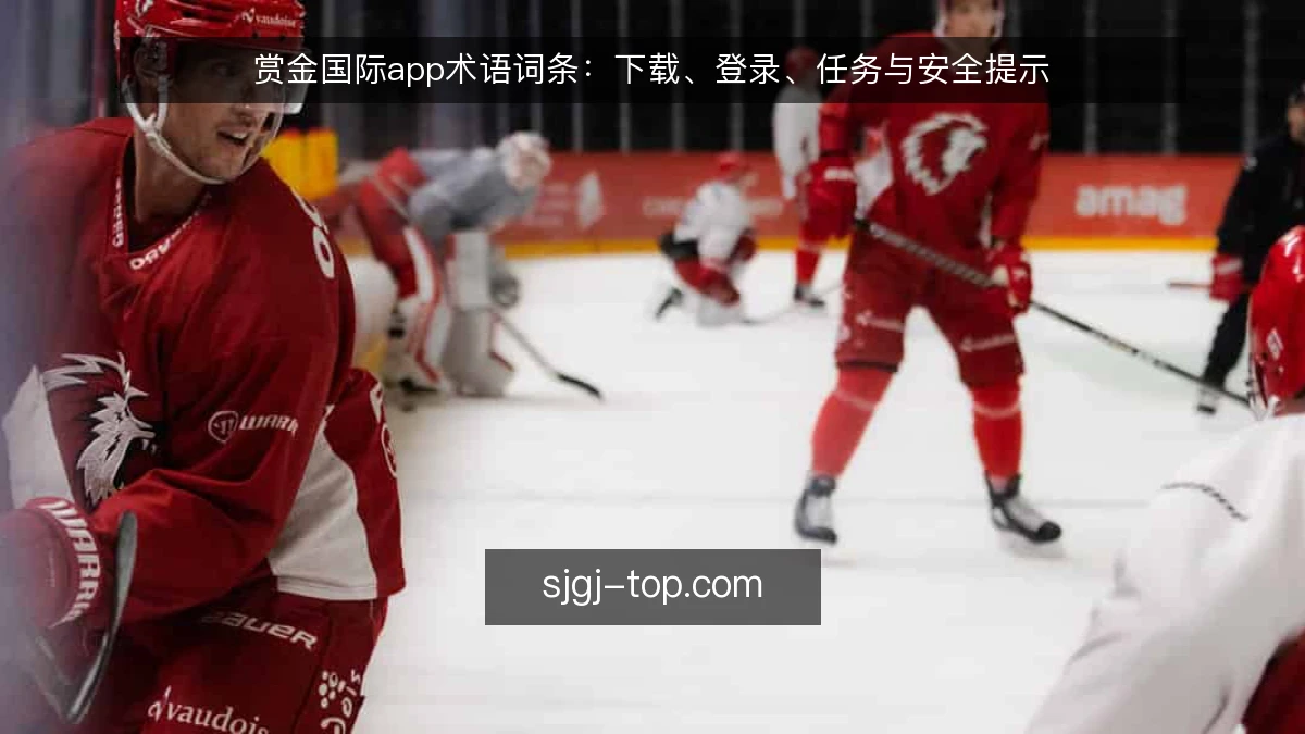 赏金国际app术语词条：下载、登录、任务与安全提示