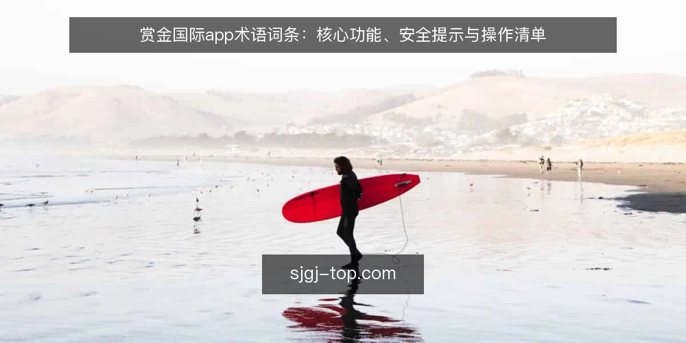 赏金国际app术语词条:核心功能、安全提示与操作清单 — 为何现在要审计赏金国际app的使用状态 配图