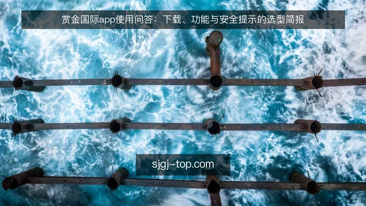 赏金国际app使用问答:下载、功能与安全提示的选型简报
