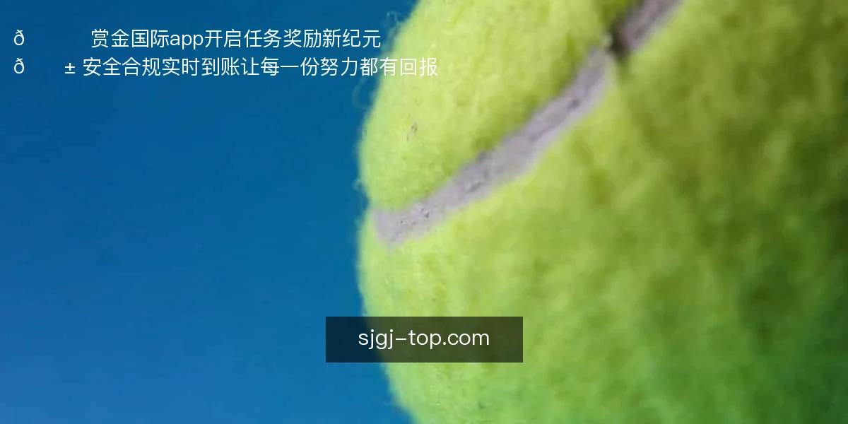🚀 赏金国际app，开启任务奖励新纪元