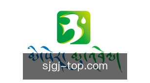 赏金国际app